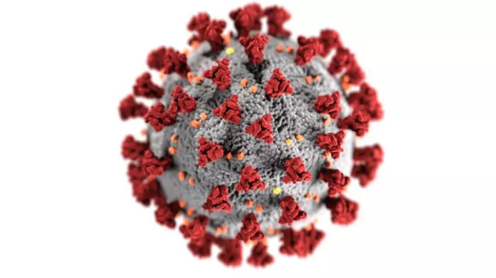 Confirmed COVID-19 Cases in Michigan Nearly 11,000