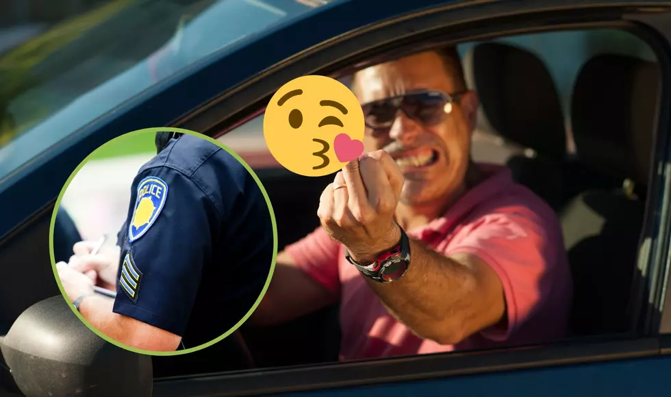 Can You Get Ticketed For Flipping Off A Driver In Michigan?