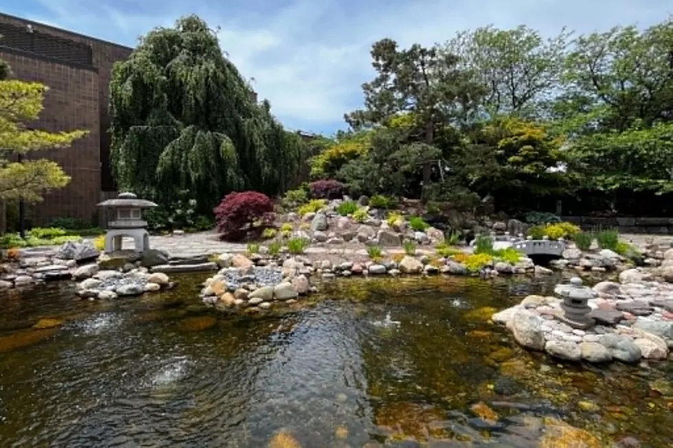 Lansing Has a Beautiful Japanese Garden Most People Don’t Know About