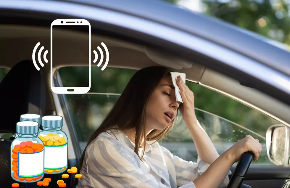 Never Leave These Items In Your Car During Summer In Michigan