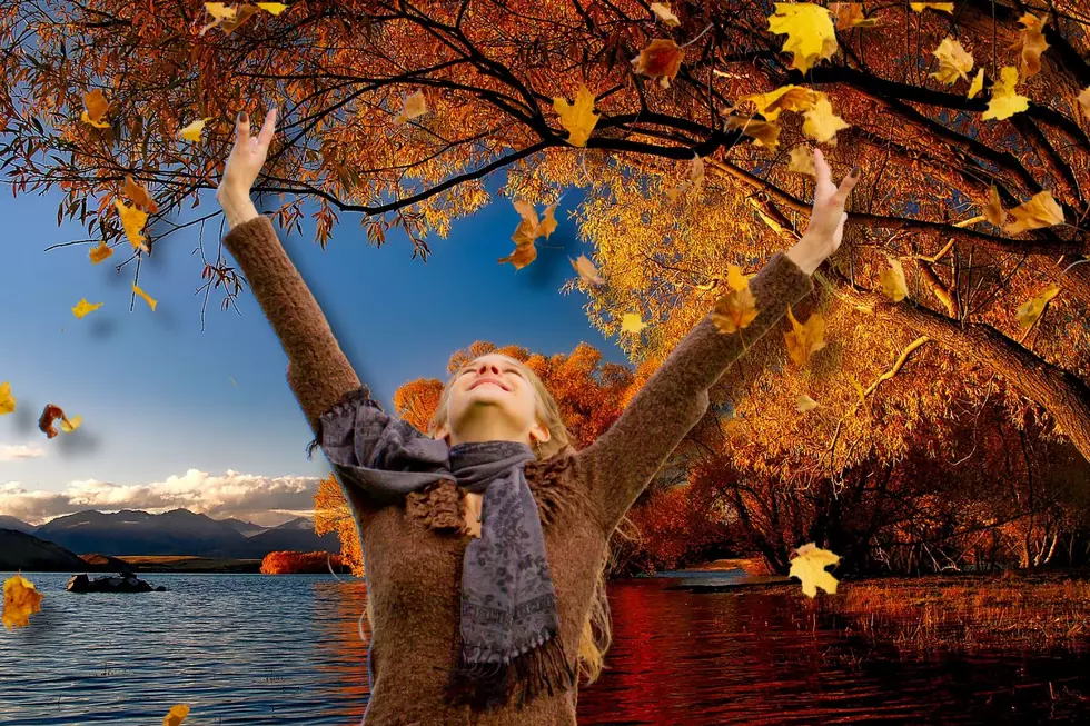 Your 2024 Ultimate Fall Bucket List In West Michigan