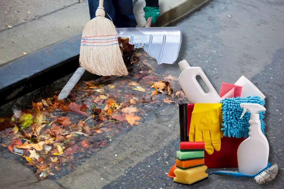 Drains Need Love Too—Here’s How To Adopt One In Grand Rapids