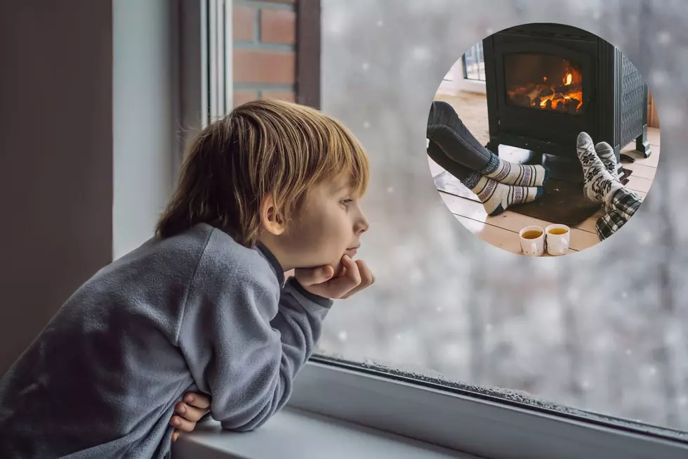 Michigan Winter Survival Guide: How To Make The Most Of A Snowed-In Day